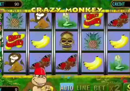 Crazy Monkey